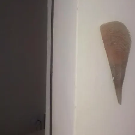 Prisnac Lägenhet Pakoštane