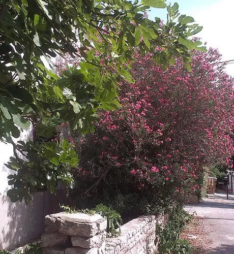 Prisnac Apartman