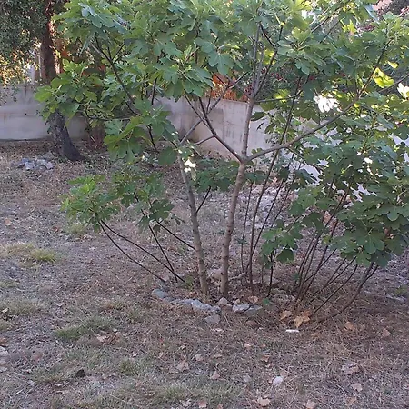 Prisnac Appartamento *