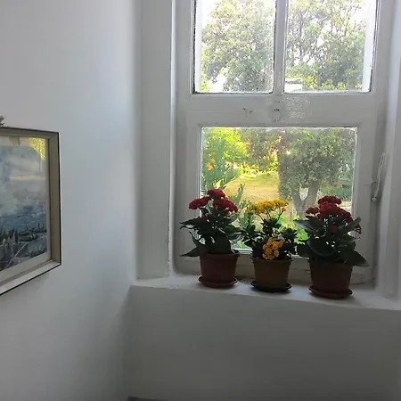 Prisnac Pakoštane