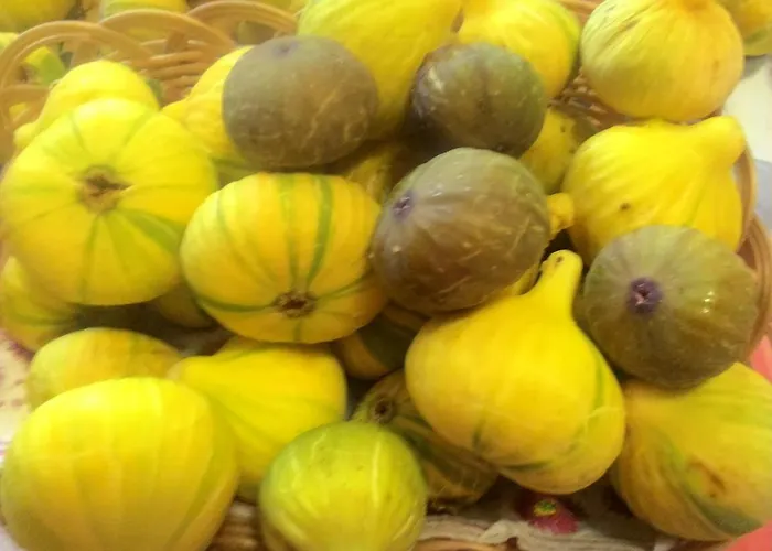 Appartamento Prisnac