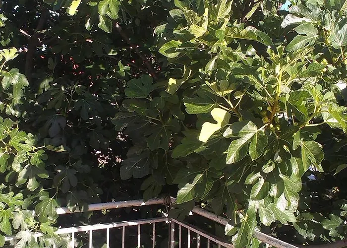 Appartamento Prisnac *